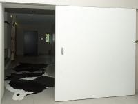 Moderne Schiebtür aus Holz