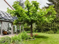 Insektenschutz für den Wintergarten